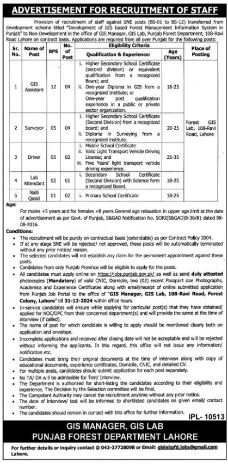 GIS assistant, surveyor, driver and sweeper jobs announced in Punjab Forest Department December 2024